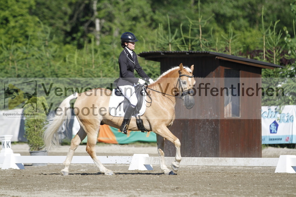 _MG_0509 | equestrian-live-com