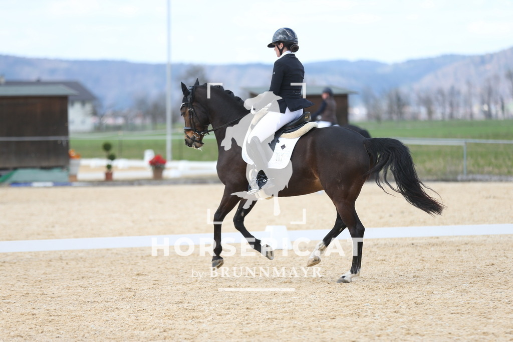 AS8V1464 | Willkommen bei Brunnmayr - Design & Fotografie – Ihrem Spezialisten für Reitturniere und Pferdeveranstaltungen in Oberösterreich, Salzburg und Bayern! Seit über 17 Jahren sind wir leidenschaftlich dabei.