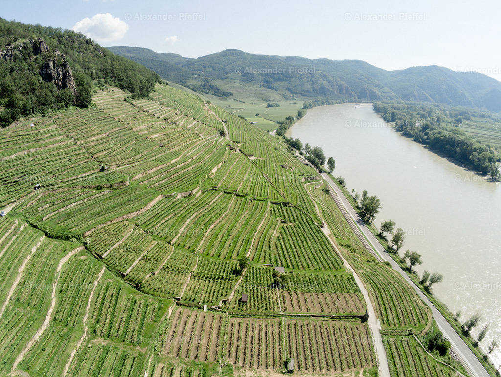 wachau-weissenkirchen_c_alexander_pfeffel-4550505 | alexander-pfeffel - Realisiert mit Pictrs.com