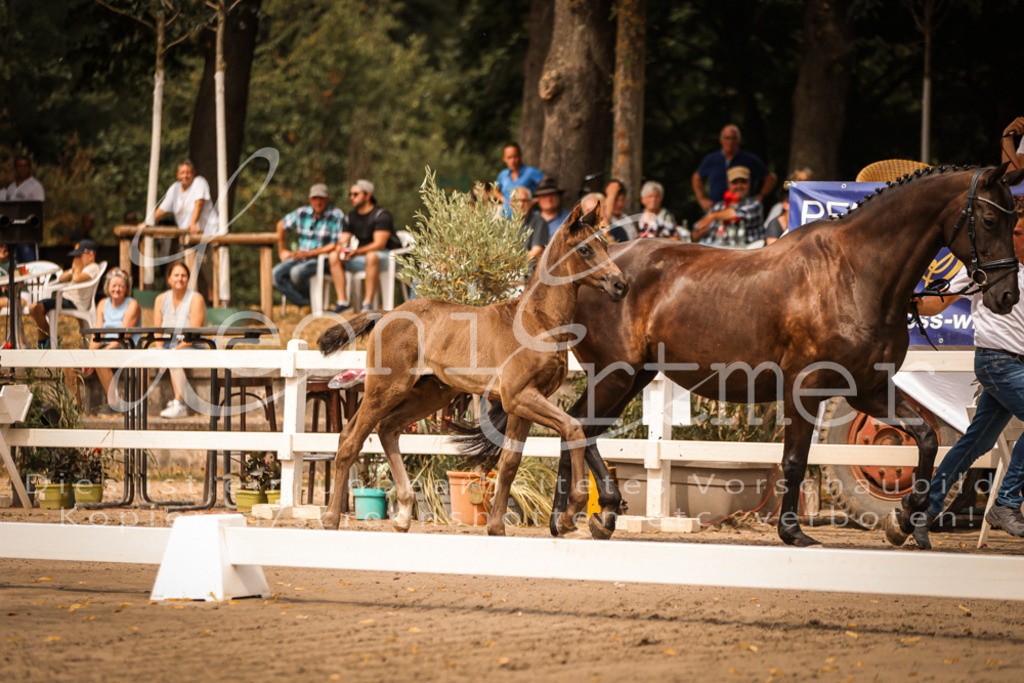 SaPA00047 | Leoni Ertmer Photography - Realisiert mit Pictrs.com