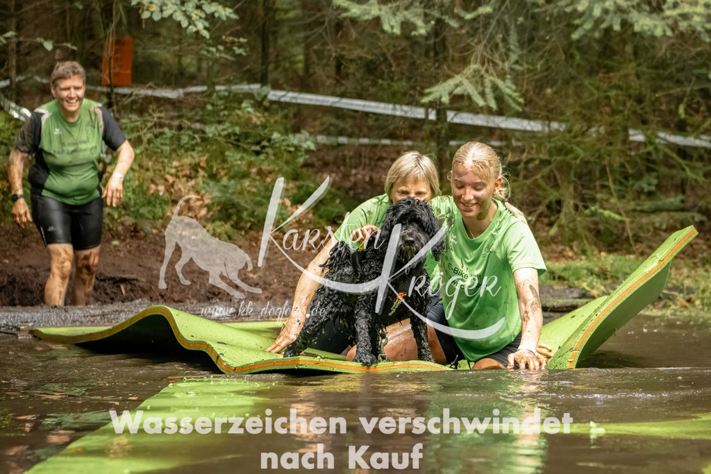 1226_ZZ94604-Bearbeitet | kk-dogfotos