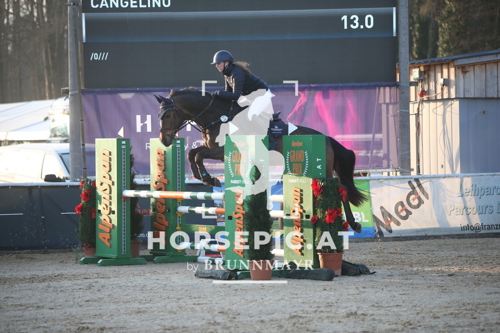 AS8V4383 | Willkommen bei Brunnmayr - Design & Fotografie – Ihrem Spezialisten für Reitturniere und Pferdeveranstaltungen in Oberösterreich, Salzburg und Bayern! Seit über 17 Jahren sind wir leidenschaftlich dabei.