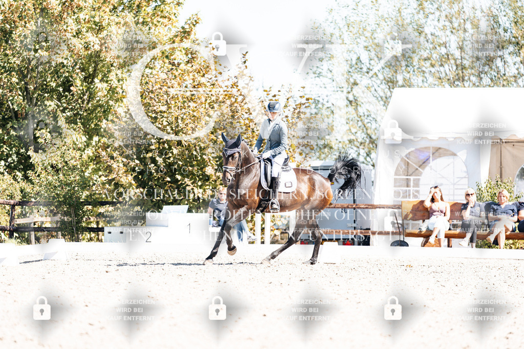 CK909808 | Turnierfotografie Pferdefotografie Trier Rheinland-Pfalz Pferdesport Reitsport Tierfotografie Sportfotografie Pferdevideo Pferdevideografie Equestrianvideography equestrianphotography  - Realisiert mit Pictrs.com