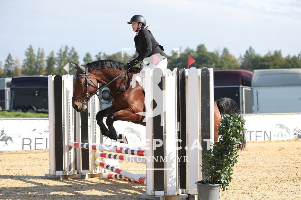 0P6A8073 | Willkommen bei Brunnmayr - Design & Fotografie – Ihrem Spezialisten für Reitturniere und Pferdeveranstaltungen in Oberösterreich, Salzburg und Bayern! Seit über 17 Jahren sind wir leidenschaftlich dabei.