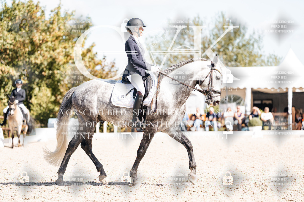 CK903815 | Turnierfotografie Pferdefotografie Trier Rheinland-Pfalz Pferdesport Reitsport Tierfotografie Sportfotografie Pferdevideo Pferdevideografie Equestrianvideography equestrianphotography  - Realisiert mit Pictrs.com