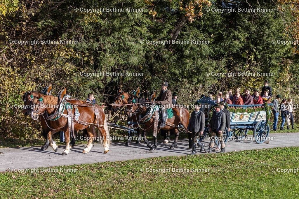 LBT24-356 | foto-bettina-krinner - Realisiert mit Pictrs.com