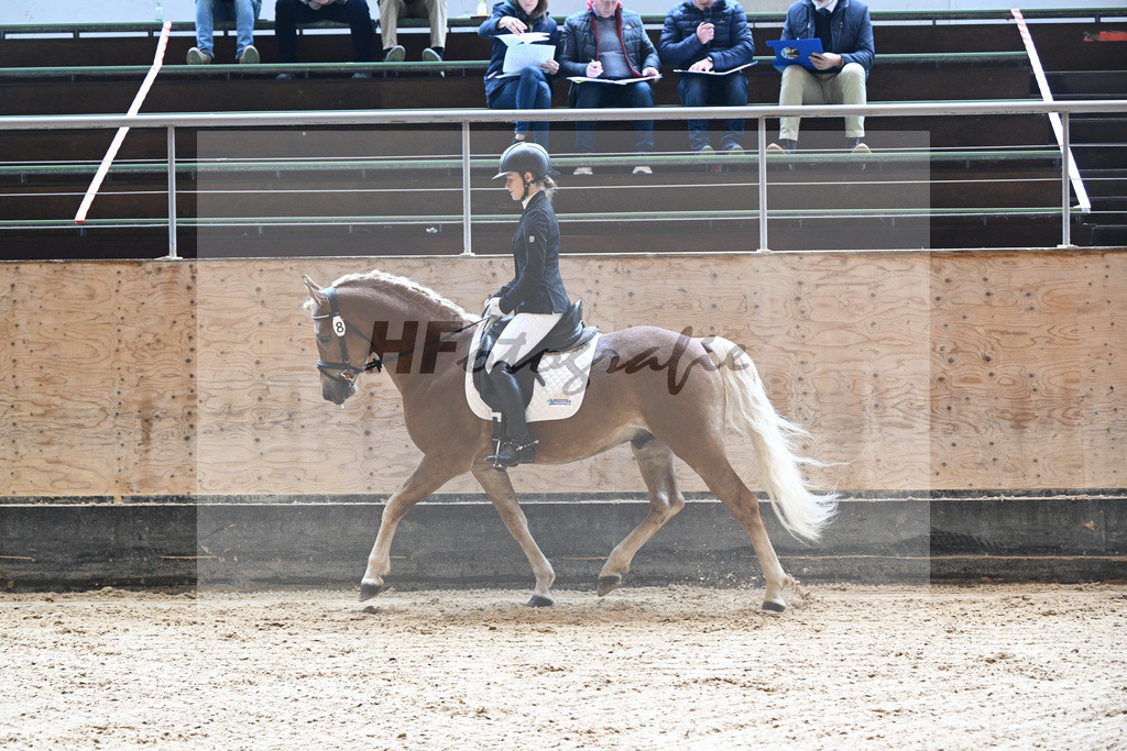 Kat-Nr. 8 Eiswind_Sendig Gestuet Meura_44240242 | hf-fotografie - Realisiert mit Pictrs.com