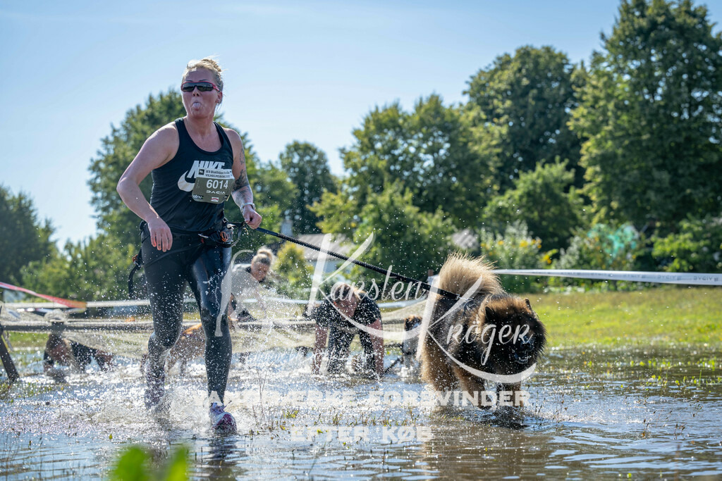 1252_ZZ90368 | kk-dogfotos