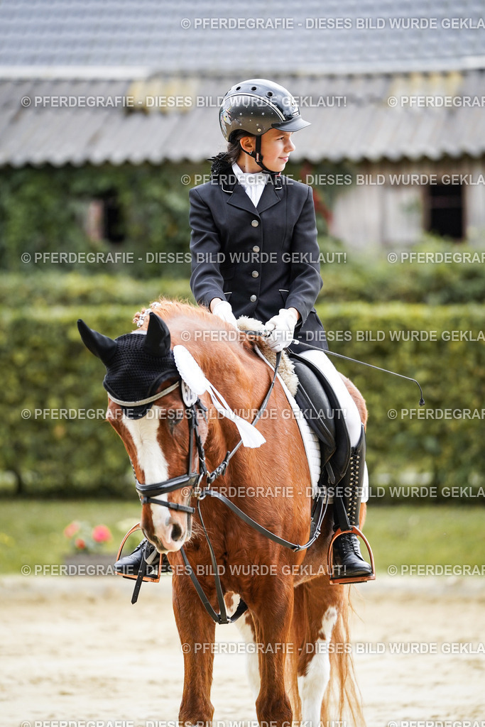 DSC05748 | Pferdegrafie