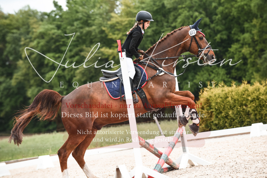 20230518_JK-Röhrsdorf-10-442 | Pferde- und Turnierfotografie in Westsachsen. Pferdeportraits, Auftragszeichnungen und intuitive Kunst.
