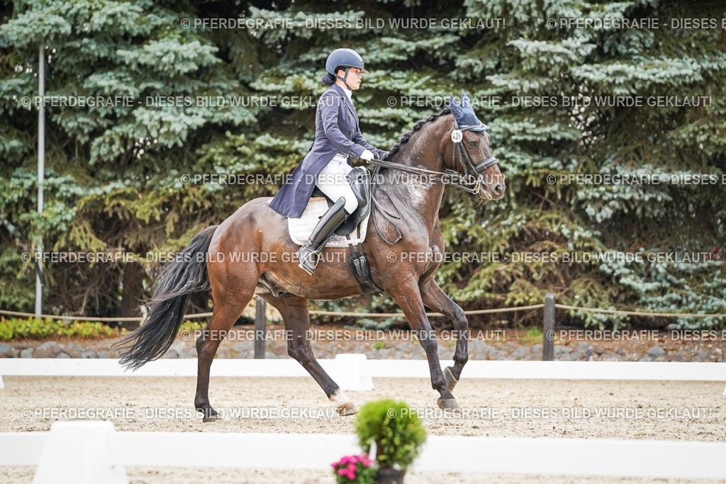 DSC07727 | Pferdegrafie