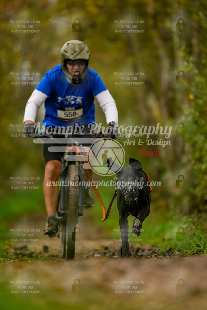 MompixPhotography_20TSB_E6_Bike-88 | mompixphotography
