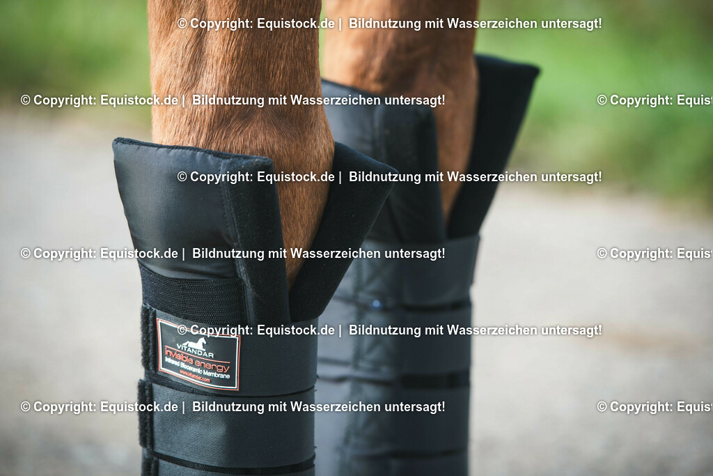 20191030_Wärmegamaschen_0008 | equistock