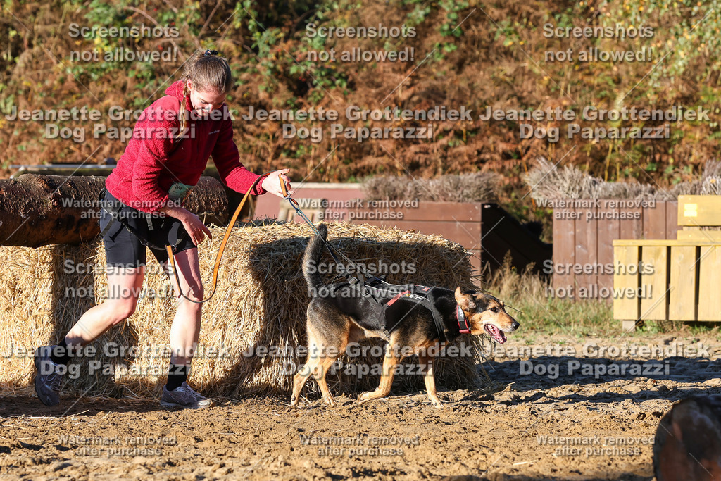 Dog Paparazzi - Strongdog 10-25-1220 | Dog Paparazzi Jeanette Grottendiek Fotografie & Videografie - Realisiert mit Pictrs.com