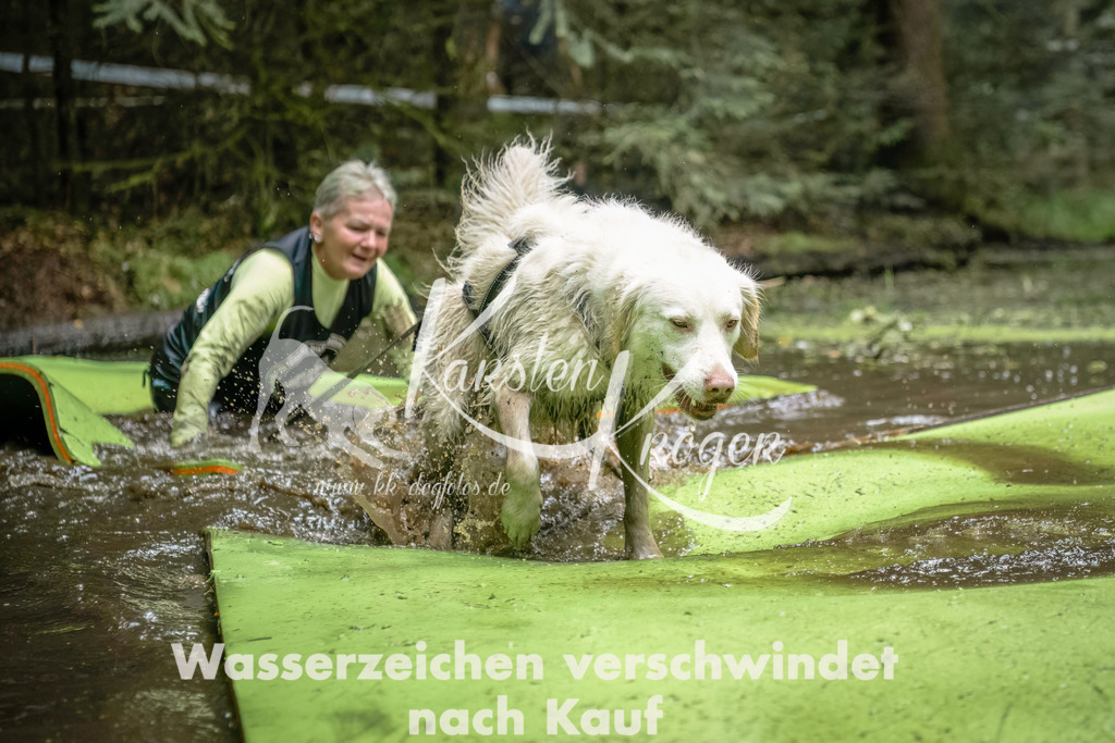 1438_ZZ93063-Bearbeitet | kk-dogfotos