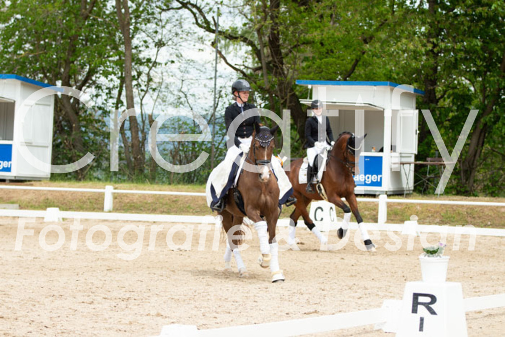 IMG_2911 | Creatify Fotografie