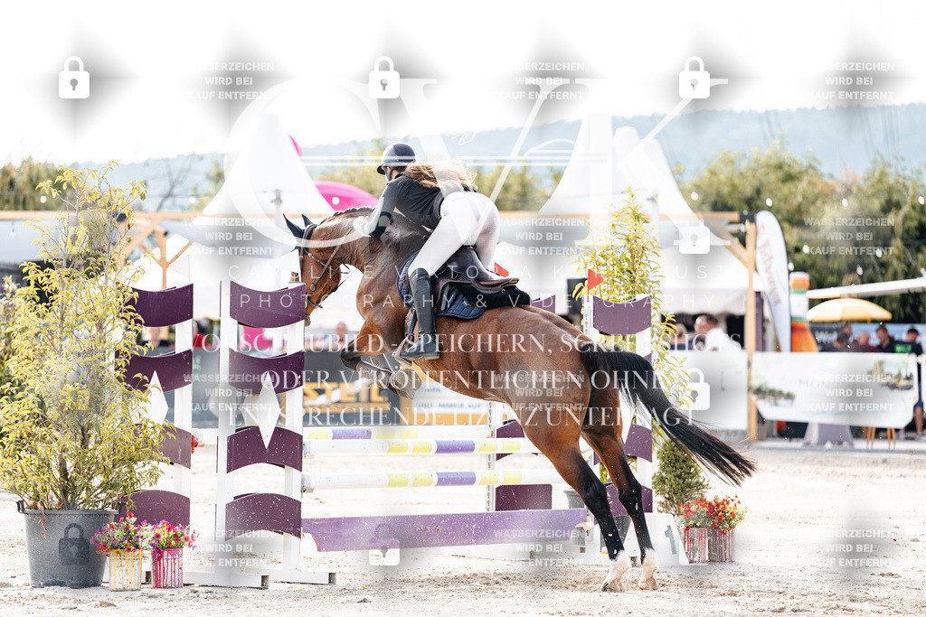 CK906446 | Turnierfotografie Pferdefotografie Trier Rheinland-Pfalz Pferdesport Reitsport Tierfotografie Sportfotografie Pferdevideo Pferdevideografie Equestrianvideography equestrianphotography  - Realisiert mit Pictrs.com