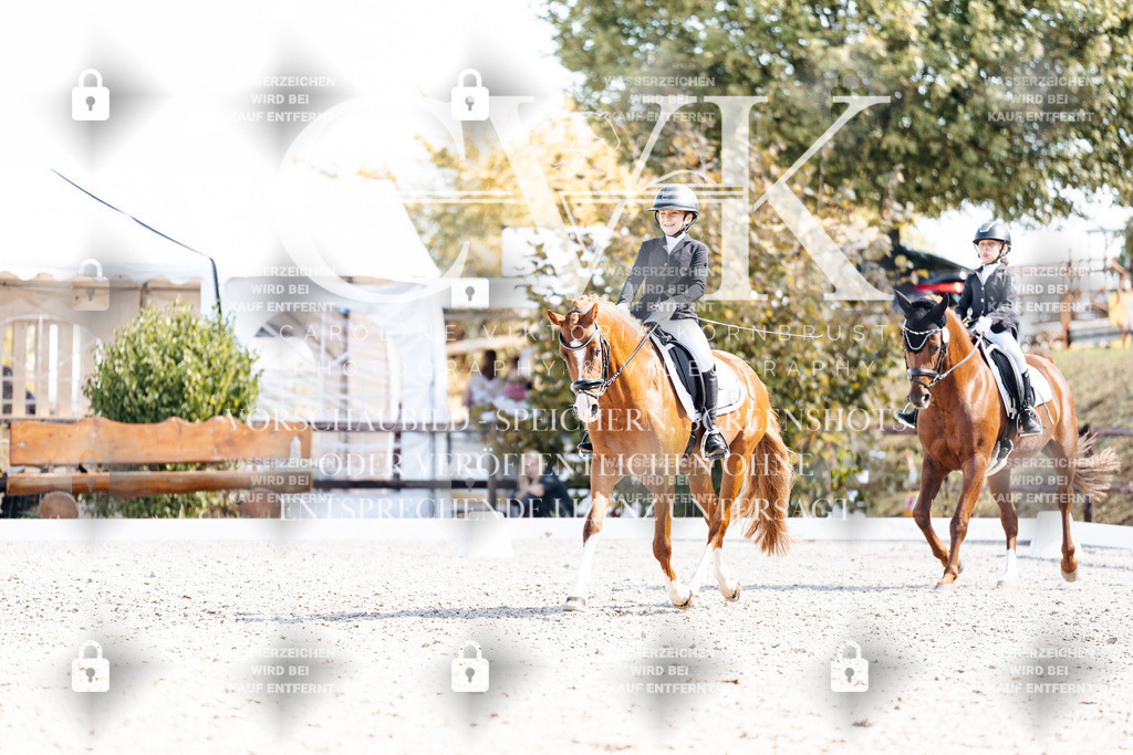 CK903034 | Turnierfotografie Pferdefotografie Trier Rheinland-Pfalz Pferdesport Reitsport Tierfotografie Sportfotografie Pferdevideo Pferdevideografie Equestrianvideography equestrianphotography  - Realisiert mit Pictrs.com