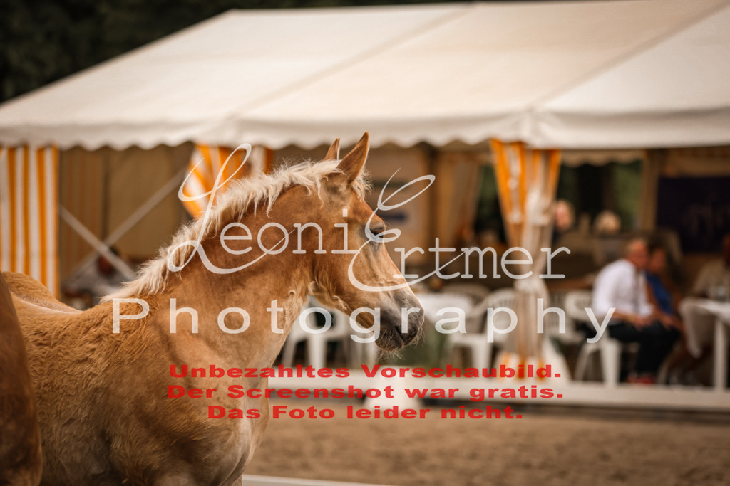SaHF00037 | Leoni Ertmer Photography - Realisiert mit Pictrs.com