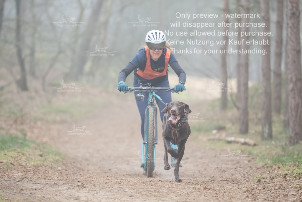 Scooter1-111 | stephaniefillaphotographie - Realisiert mit Pictrs.com