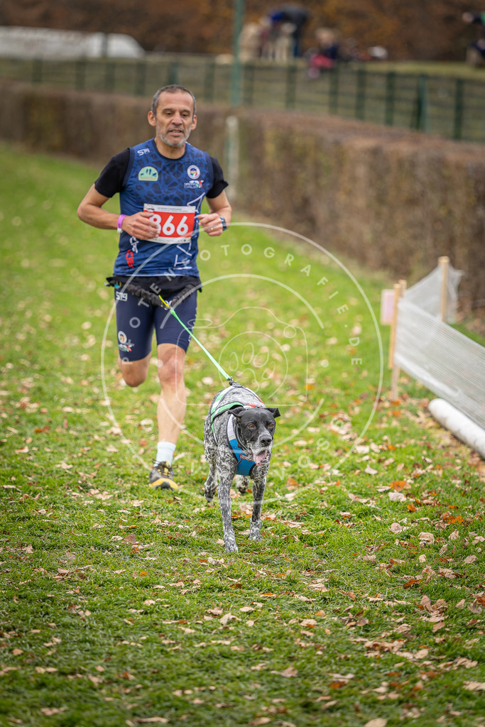 CaniXpix_DV3A6730 | Hundefotografie, Tierfotograf, Pfotenfotografie, Fotoshooting Hund, Hunde Portrait, Hundesport, Hundeportraits, Heideshooting, Hunde, Sportfotograf, Hundefotograf, Turnierhundsport, THS,  - Realisiert mit Pictrs.com