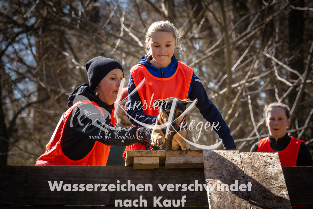 0929_ZZ95782 | kk-dogfotos