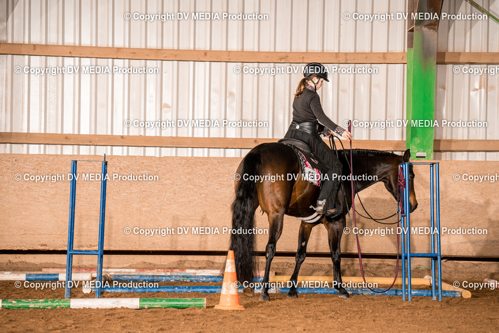 BA400026 | dv-media-shop - Realisiert mit Pictrs.com