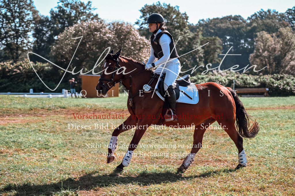DSC_0622 | Pferde- und Turnierfotografie in Westsachsen. Pferdeportraits, Auftragszeichnungen und intuitive Kunst.