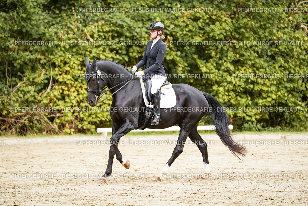 DSC03584 | Pferdegrafie