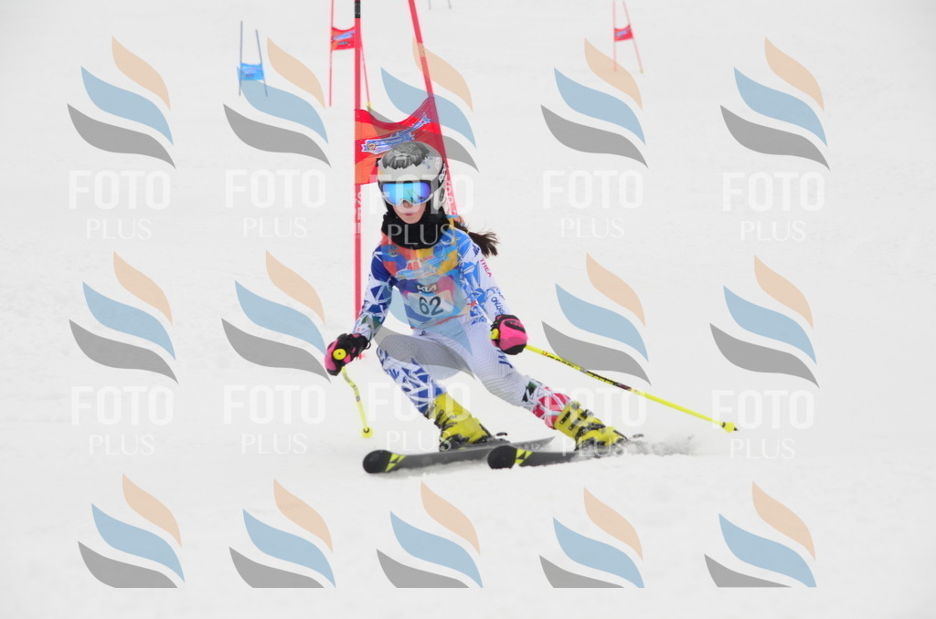 C1082 | holidayphoto