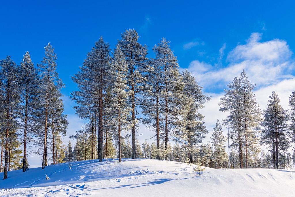 Landschaft mit Schnee im Winter in Kuusamo, Finnland | Landschaft mit Schnee im Winter in Kuusamo, Finnland.