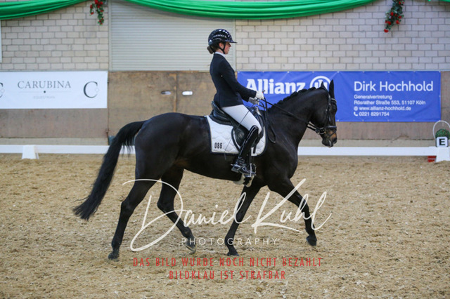 IMG_2917 | Turnierfotos kaufen im Webshop von Daniel Kuhl Photography – entdecke professionelle Reitsportfotos aus Turnieren & Events. Hochwertige Turnierbilder online bestellen & sichern. Jetzt Fotos von Reitsportturnieren kaufen!