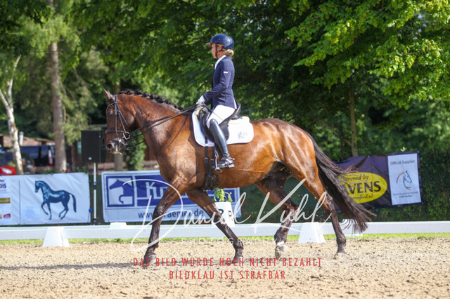 DKP41271 | Turniersportfotografie; Pferdefotografie; Dressurfotografie