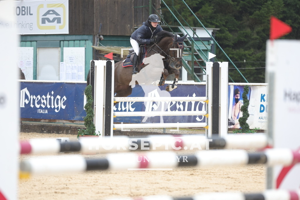 0P6A0410 | Willkommen bei Brunnmayr - Design & Fotografie – Ihrem Spezialisten für Reitturniere und Pferdeveranstaltungen in Oberösterreich, Salzburg und Bayern! Seit über 17 Jahren sind wir leidenschaftlich dabei.