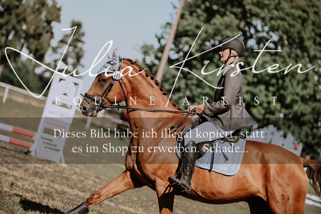 DSC_9304 | Pferde- und Turnierfotografie in Westsachsen. Pferdeportraits, Auftragszeichnungen und intuitive Kunst.