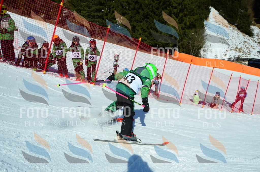 C5088 | holidayphoto