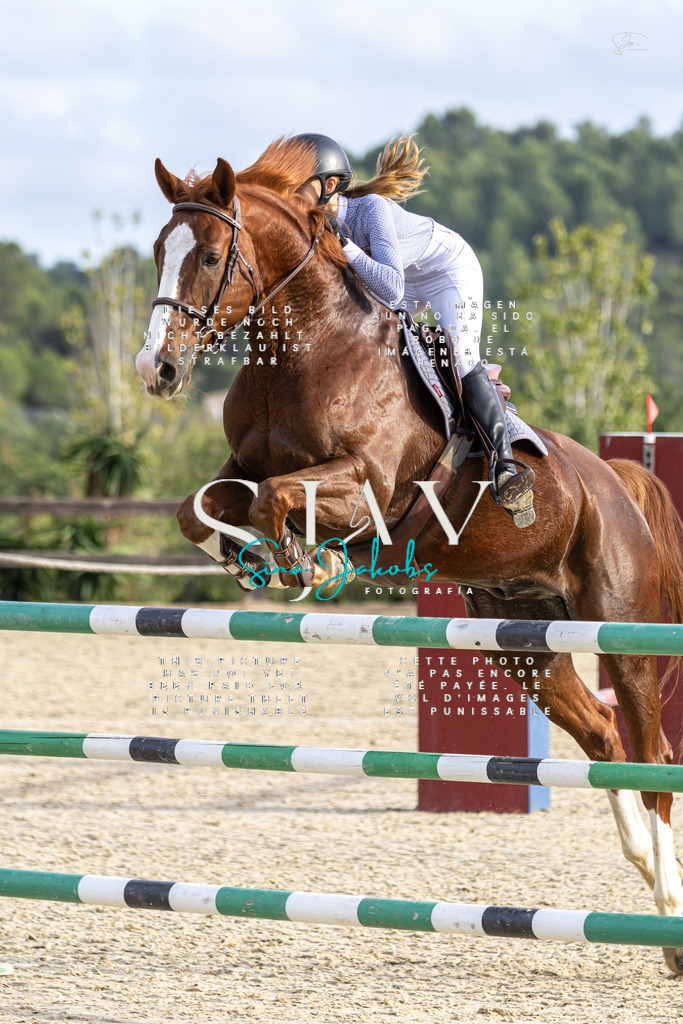 IMG_4598 | s-jay-photography - Realisiert mit Pictrs.com