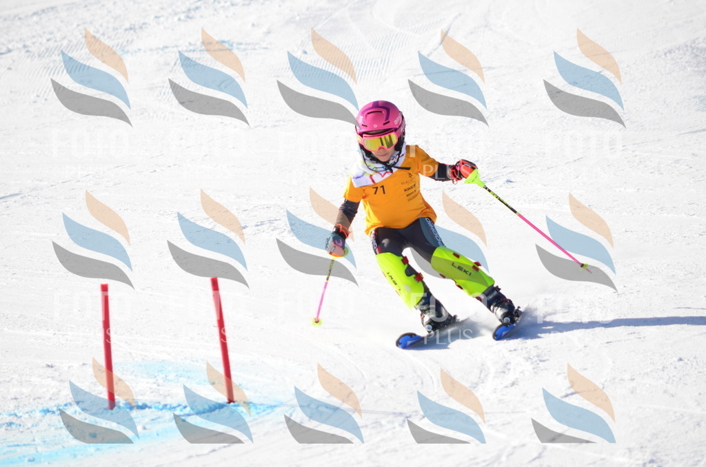 C5888 | holidayphoto