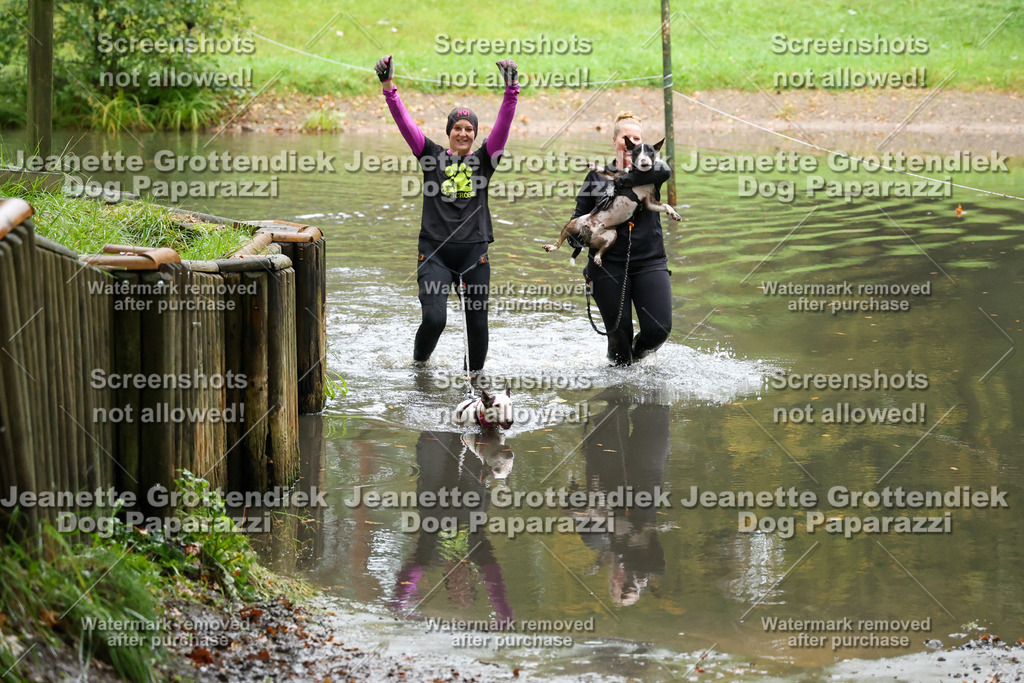 Dog Paparazzi -  SD1026-8346 | Dog Paparazzi Jeanette Grottendiek Fotografie & Videografie - Realisiert mit Pictrs.com