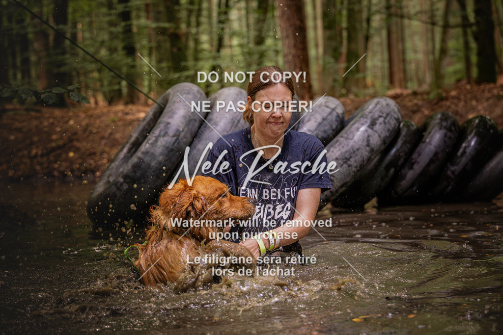 nelerasche_SaWingst1030-1130_86 | nelerasche