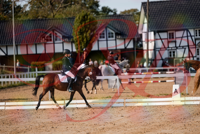 2026_10_03_Siefer-Hof_122040_Z63_43586614 | Professionelle Reitsport-, Turnier- und Eventfotografie von Robert Broda. Galerien mit ausgewählten und bearbeiteten Bildern direkt online ansehen und bestellen.