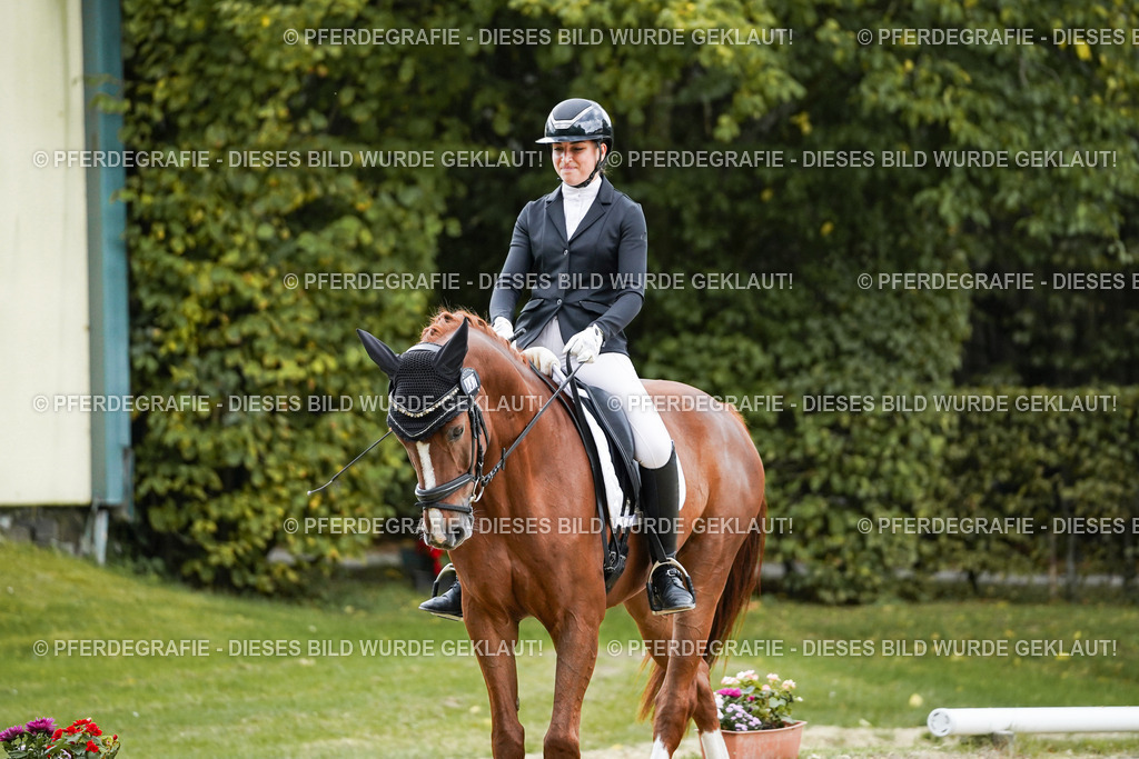 DSC08118 | Pferdegrafie