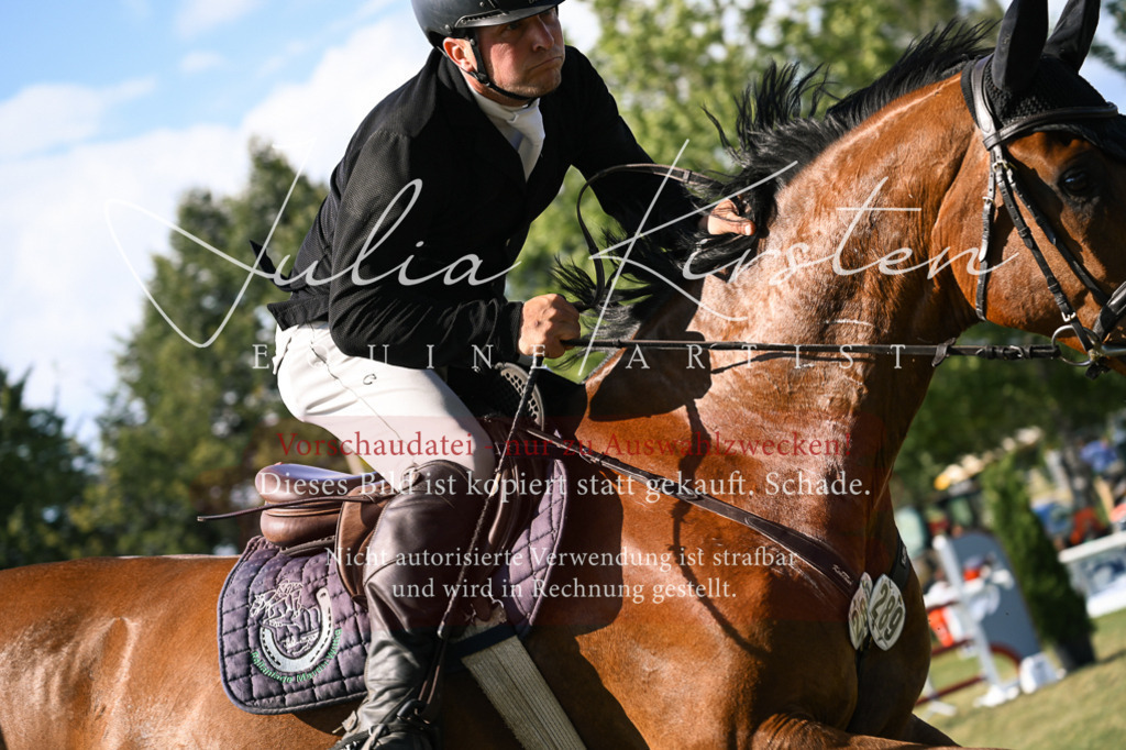 DSC_1511 | Pferde- und Turnierfotografie in Westsachsen. Pferdeportraits, Auftragszeichnungen und intuitive Kunst.