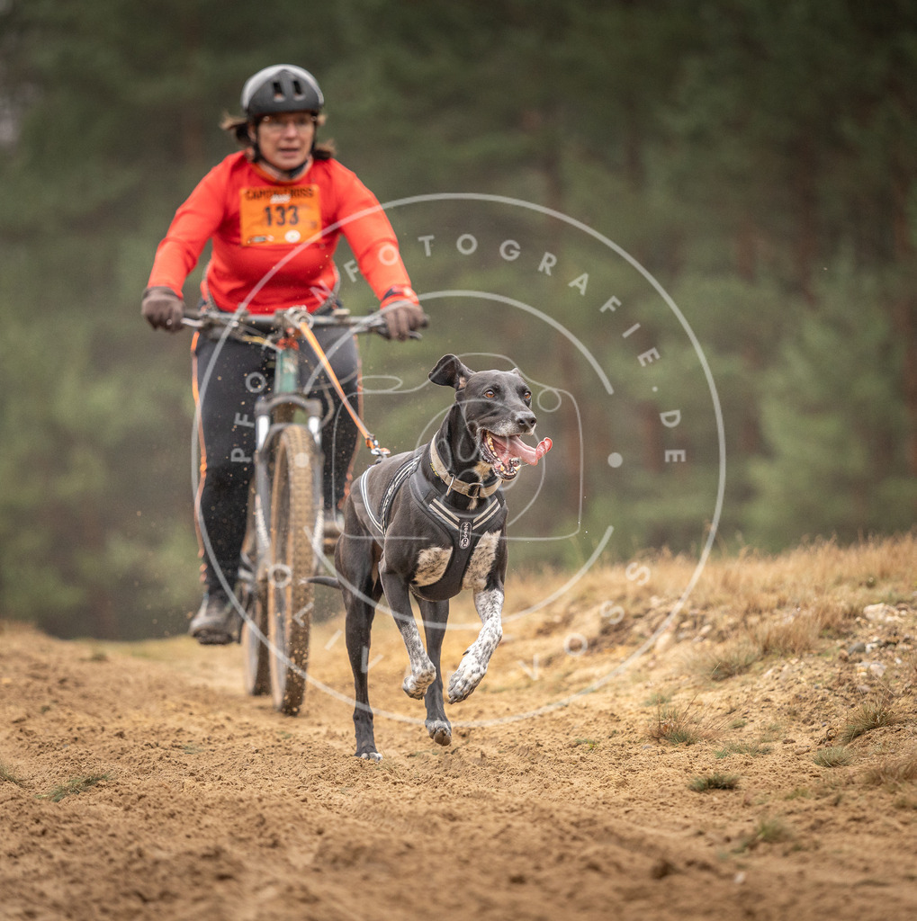 Pfotenfotografie_DV3A3782 | Hundefotografie, Tierfotograf, Pfotenfotografie, Fotoshooting Hund, Hunde Portrait, Hundesport, Hundeportraits, Heideshooting, Hunde, Sportfotograf, Hundefotograf, Turnierhundsport, THS,  - Realisiert mit Pictrs.com