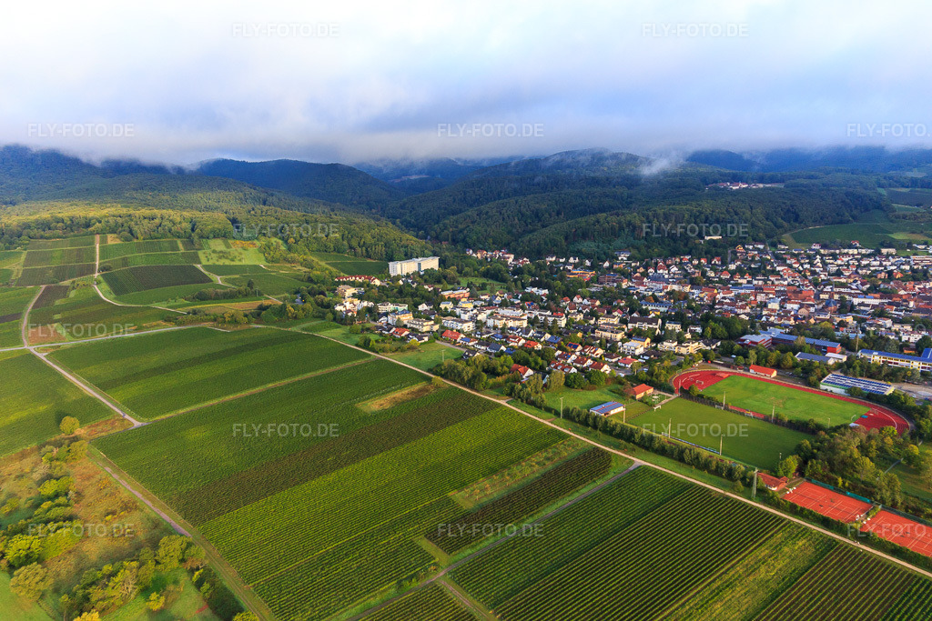 Luftbild: Weinberge südlich der Kurstadt in Bad Bergzabern im Bundesland Rheinland-Pfalz in Deutschland. Foto: IMG_103286.jpg vom 10.09.2017 durch Werner Riehm/FLY-FOTO.de