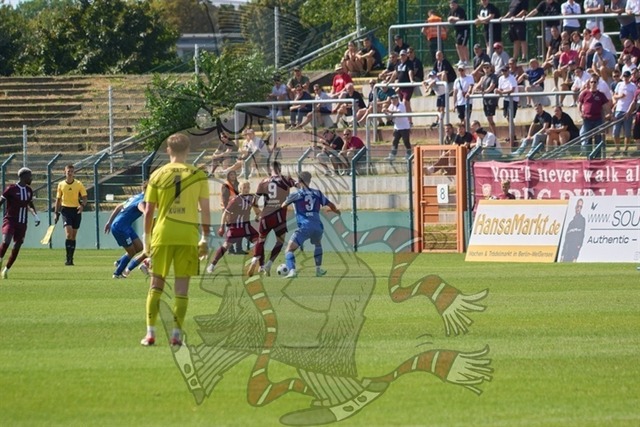 BFC Dynamo vs. F.C. Hertha 03 Zehlendorf 046 | mythos-online-redaktion
