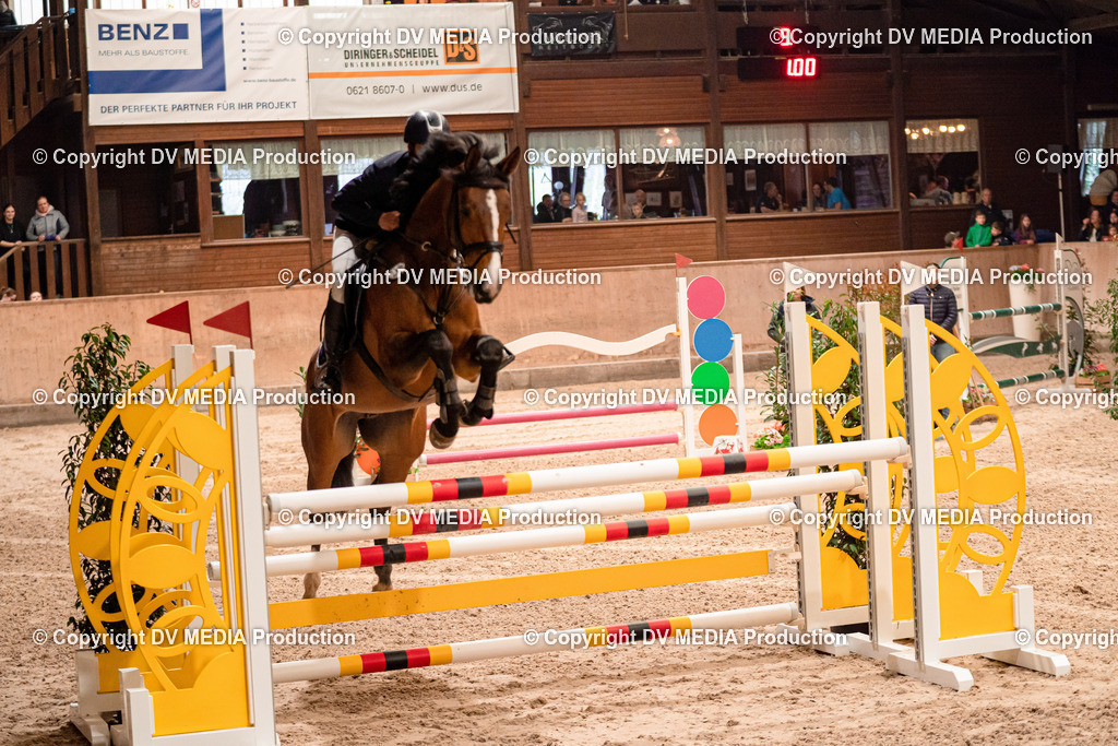 Springen Tag 2-649 | dv-media-shop - Realisiert mit Pictrs.com