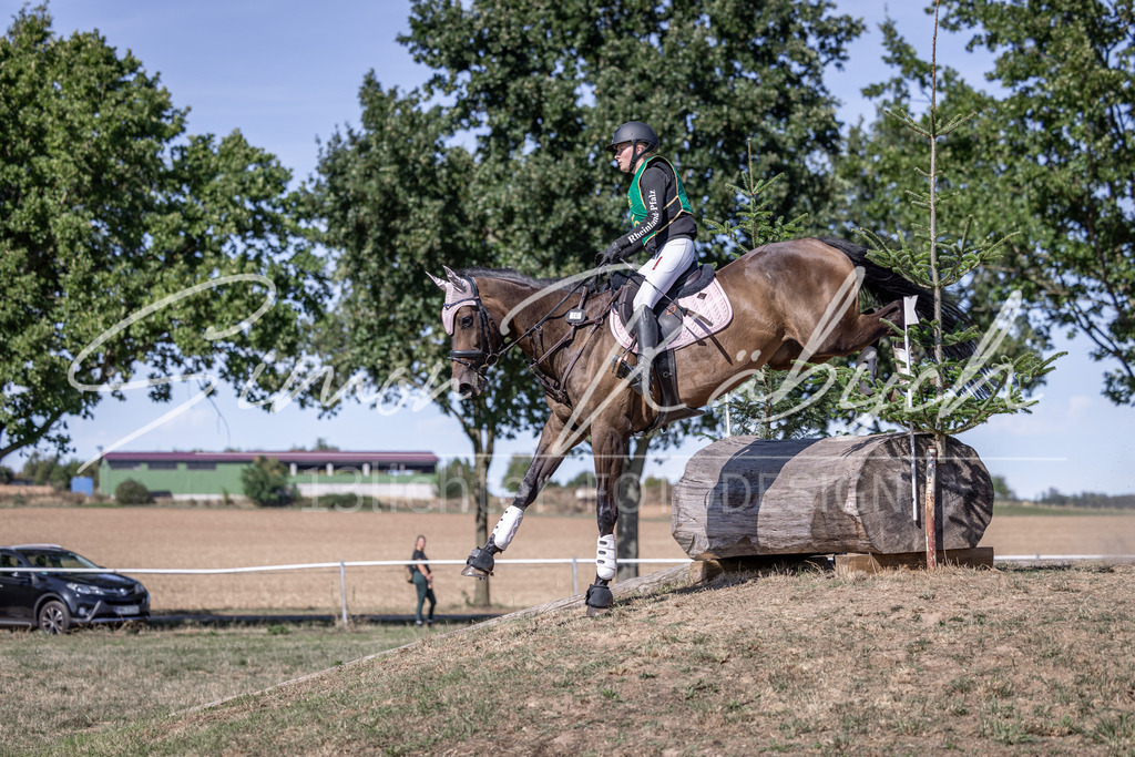 20260906-_3LI5271 | Tierfotografie Pferde, Hunde, Katzen, Haustiere.
Turnierfotografie Reitturniere, Reiten, Springreiten, Dressur in Hanau, dem Main-Kinzig-Kreis und dem Rhein-Main- Gebiet um Frankfurt