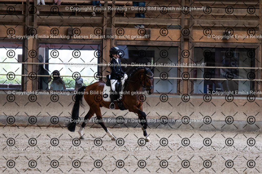 CL5A5023 | Emilia Reinking Fotografie - Realisiert mit Pictrs.com