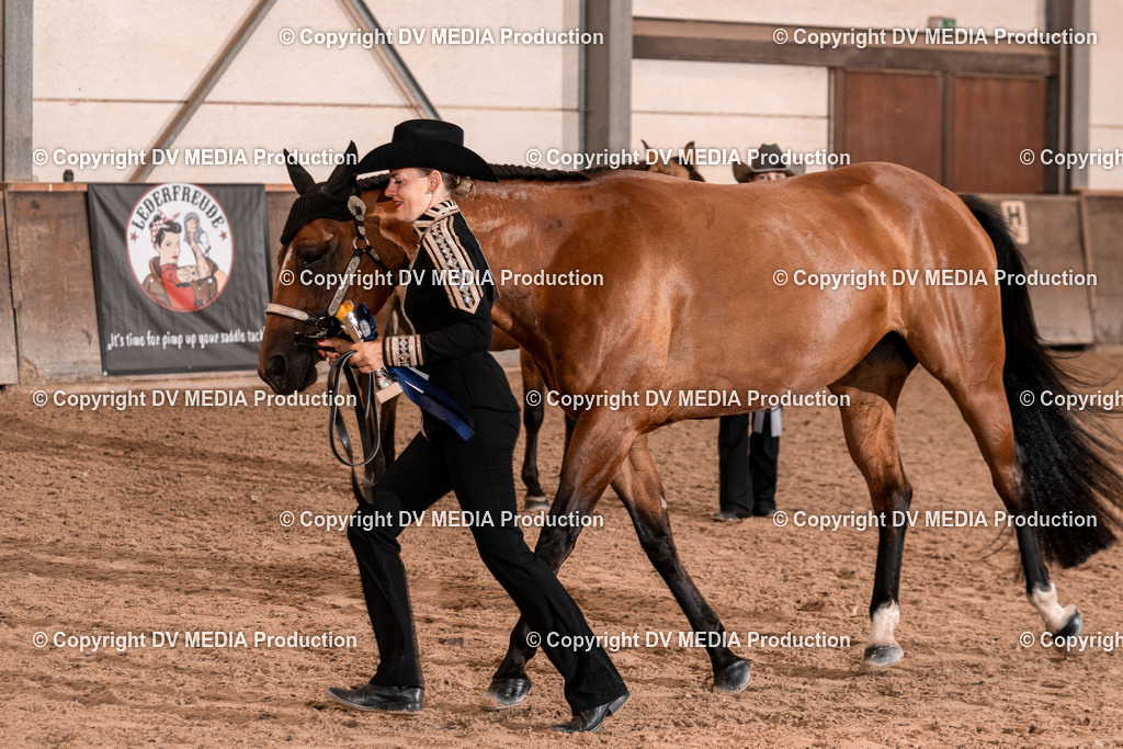 LM Heiligenwald Tag 1-382 | dv-media-shop - Realisiert mit Pictrs.com